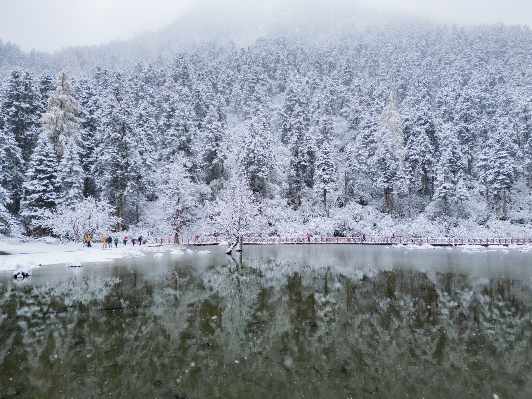川西 第 3 张照片