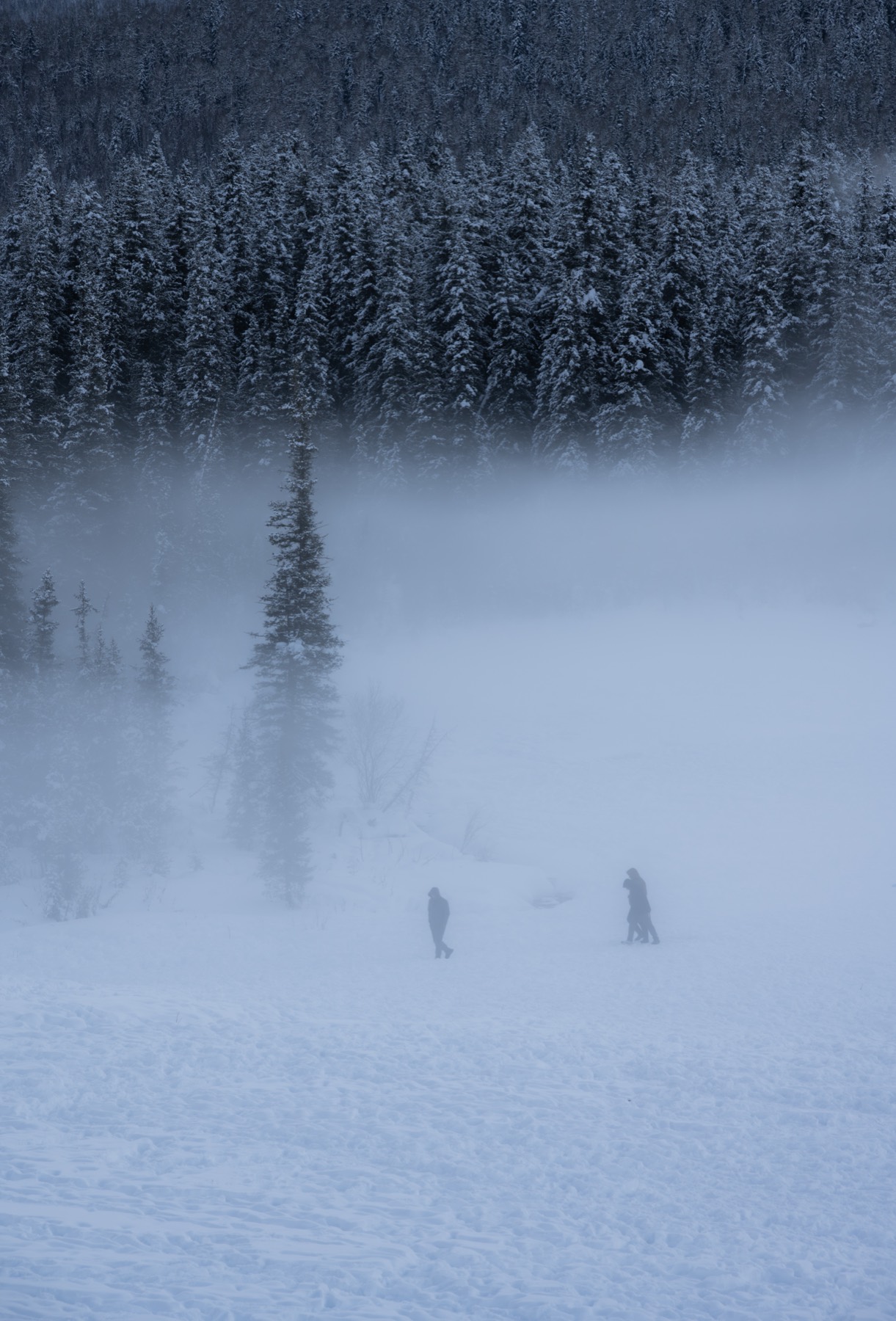 新疆阿勒泰 第 2 张照片
